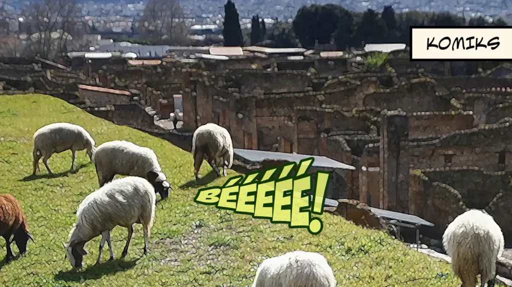 Ovce zachraňují Pompeje