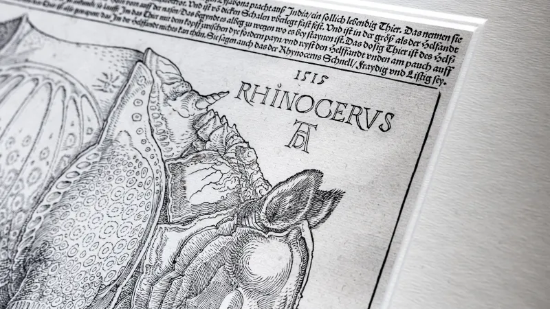 Dřevořez Nosorožec od Albrechta Dürera v knihovně Akademie věd ČR