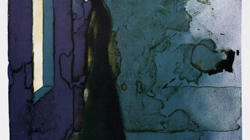 Vladimír Suchánek / Osamění II