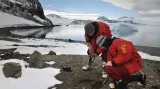 Česká vědecká přítomnost v Antarktidě