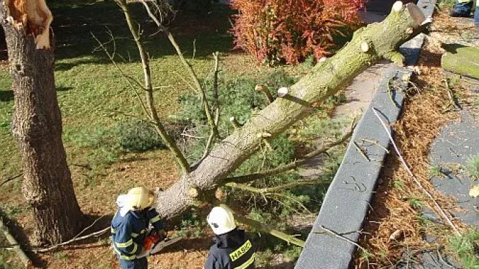 Hasiči odstraňovali především spadlé stromy ze silnic a z budov.