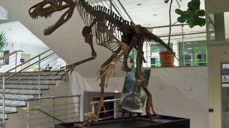 Kostra smoka wawelského