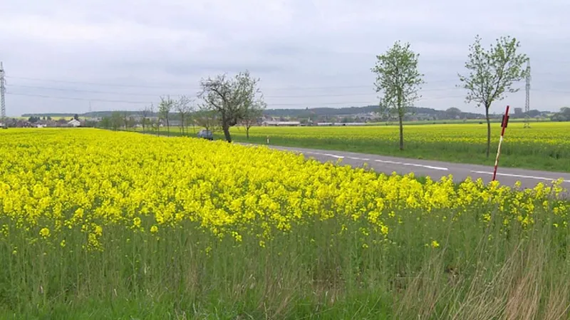 Stěžery zatím dvě klíčové parcely pro stavbu D11 neprodaly