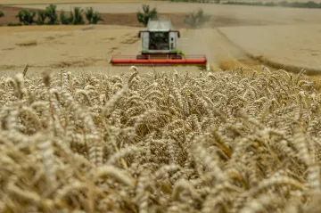 Kombajny jsou těžké jako dinosauři. Lidstvo kvůli tomu může dopadnout stejně jako oni
