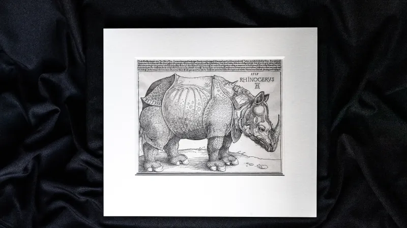 Dřevořez Nosorožec od Albrechta Dürera v knihovně Akademie věd ČR