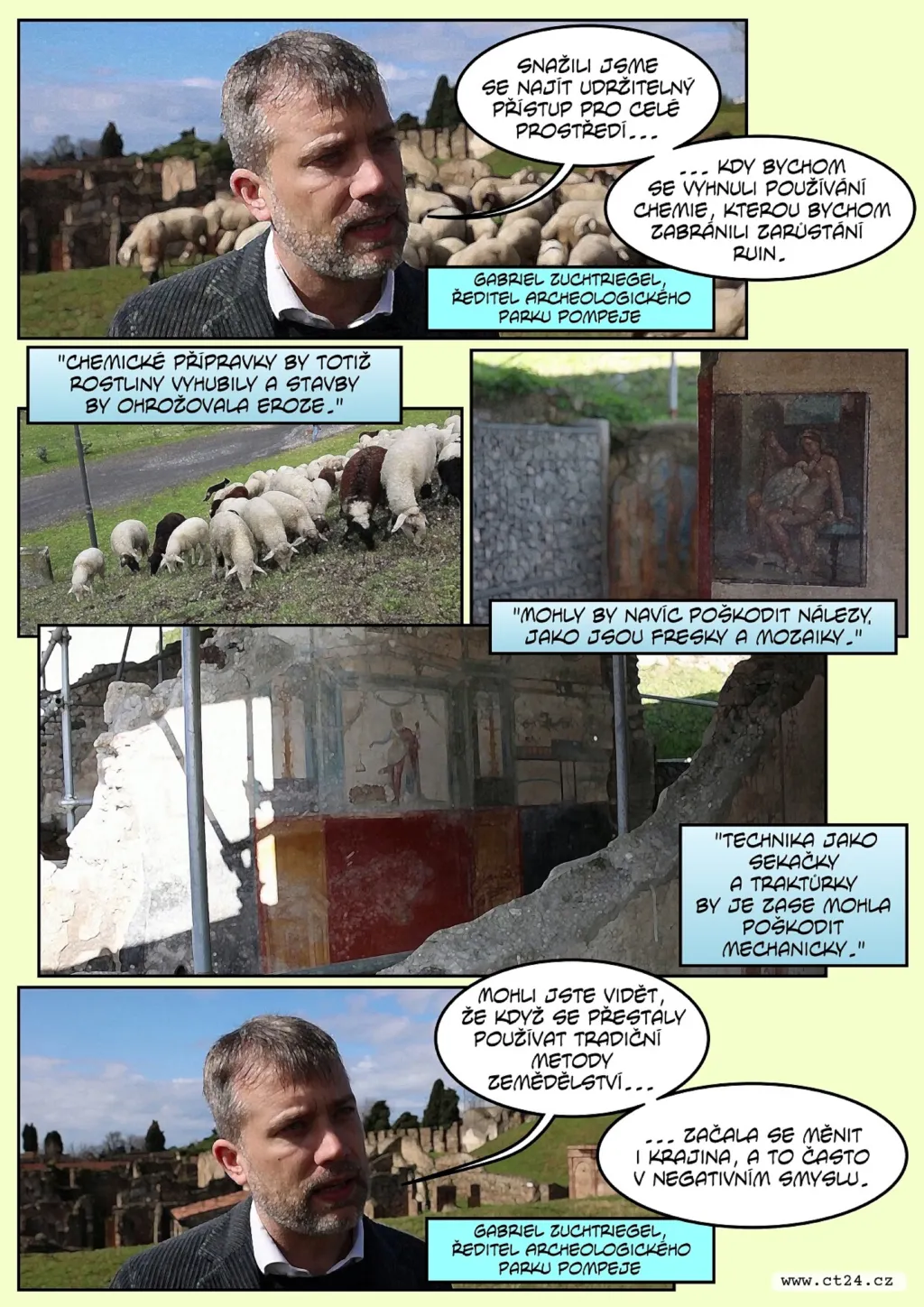 Ovce zachraňují Pompeje