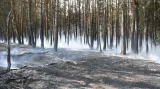 Požár les a pole u Manětína