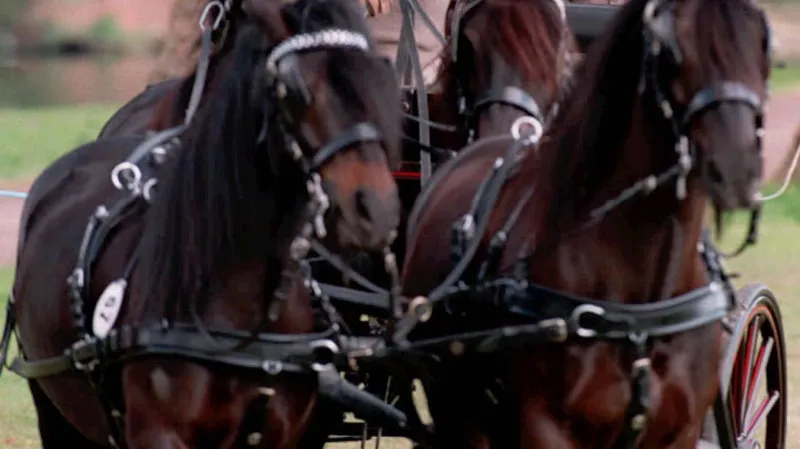 Philip během vozatajských závodů ve Windsoru provádí čtyřspřeží