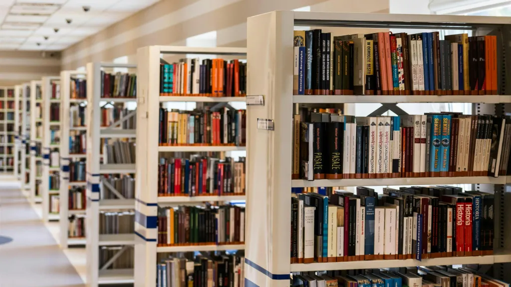 Ilustrační snímek