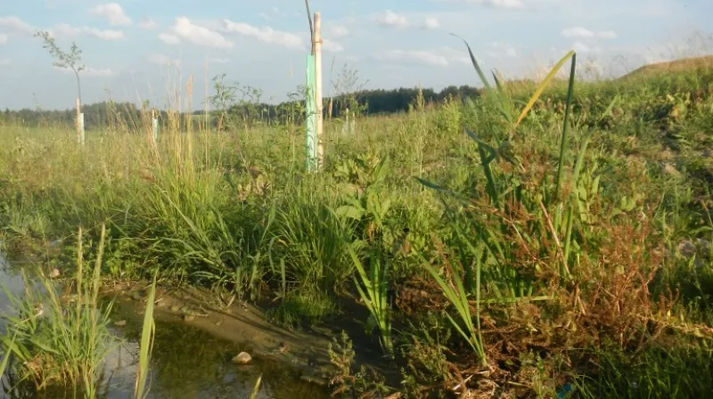 Rataje - revitalizace potoka