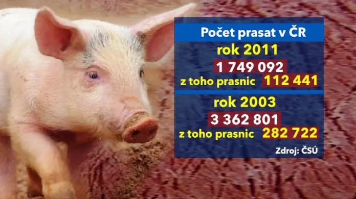 Porovnání počtu prasat v ČR