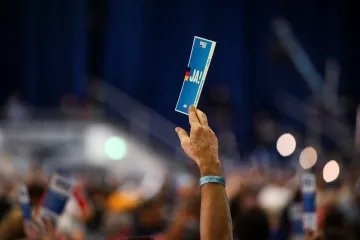AfD dále povedou Weidelová a Chrupalla. Sjezd provázejí protesty