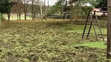 Následky řádění divočáků