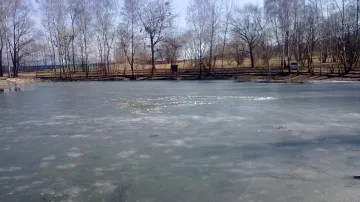 Zamrzlý rybník u Valašského Meziříčí