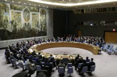 V RB OSN neprošel ruský návrh rezoluce odsuzující útok na Sýrii