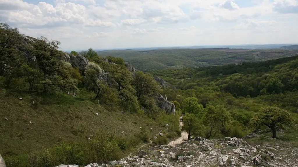 Pálava