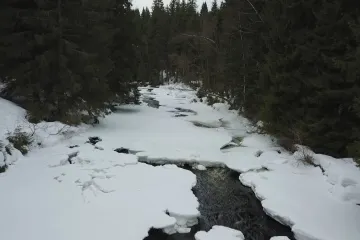 Šumava má nové zóny. Dvě s nejpřísnější ochranou zabírají přes polovinu národního parku