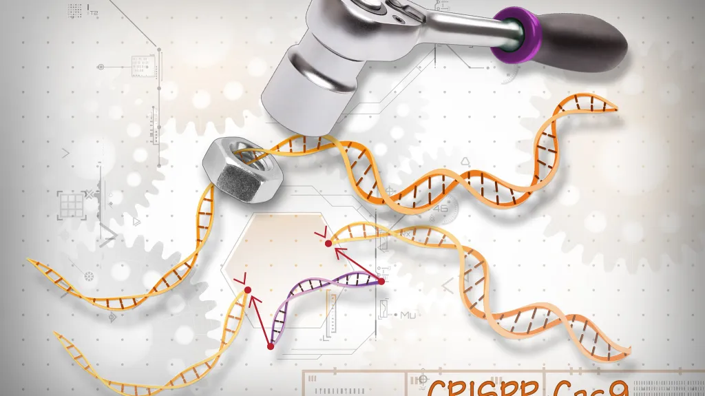 CRISPR