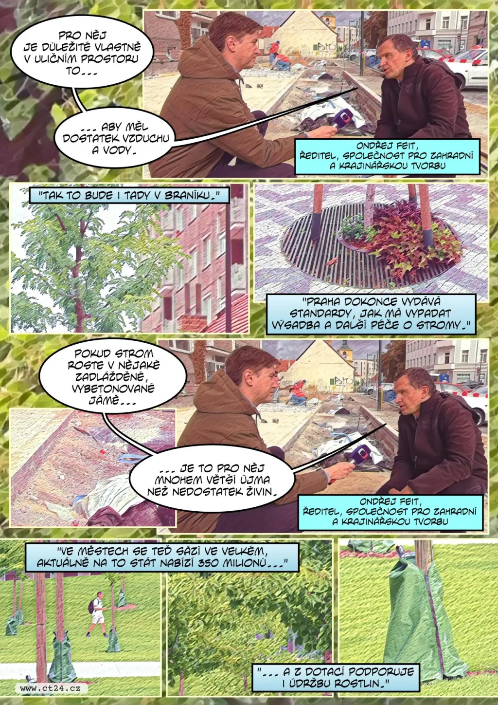 V Česku přibylo na 70 tisíc stromů, musí se ale udržovat