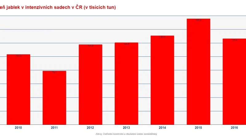 Sklizeň jablek v Česku