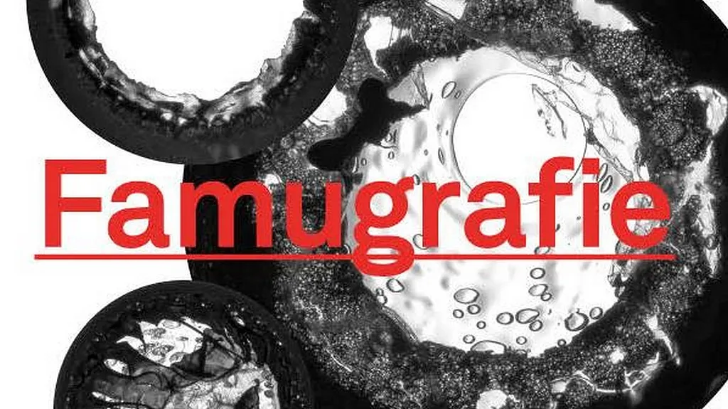 Famugrafie