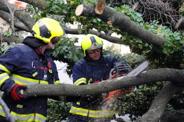 Hasiči zasahovali u popadaných stromů, tisíce domácností byly bez proudu. Českem se prohnal silný vítr