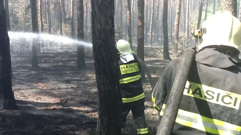 Hasiči polévají doutnající ložiska v lese u Bzence