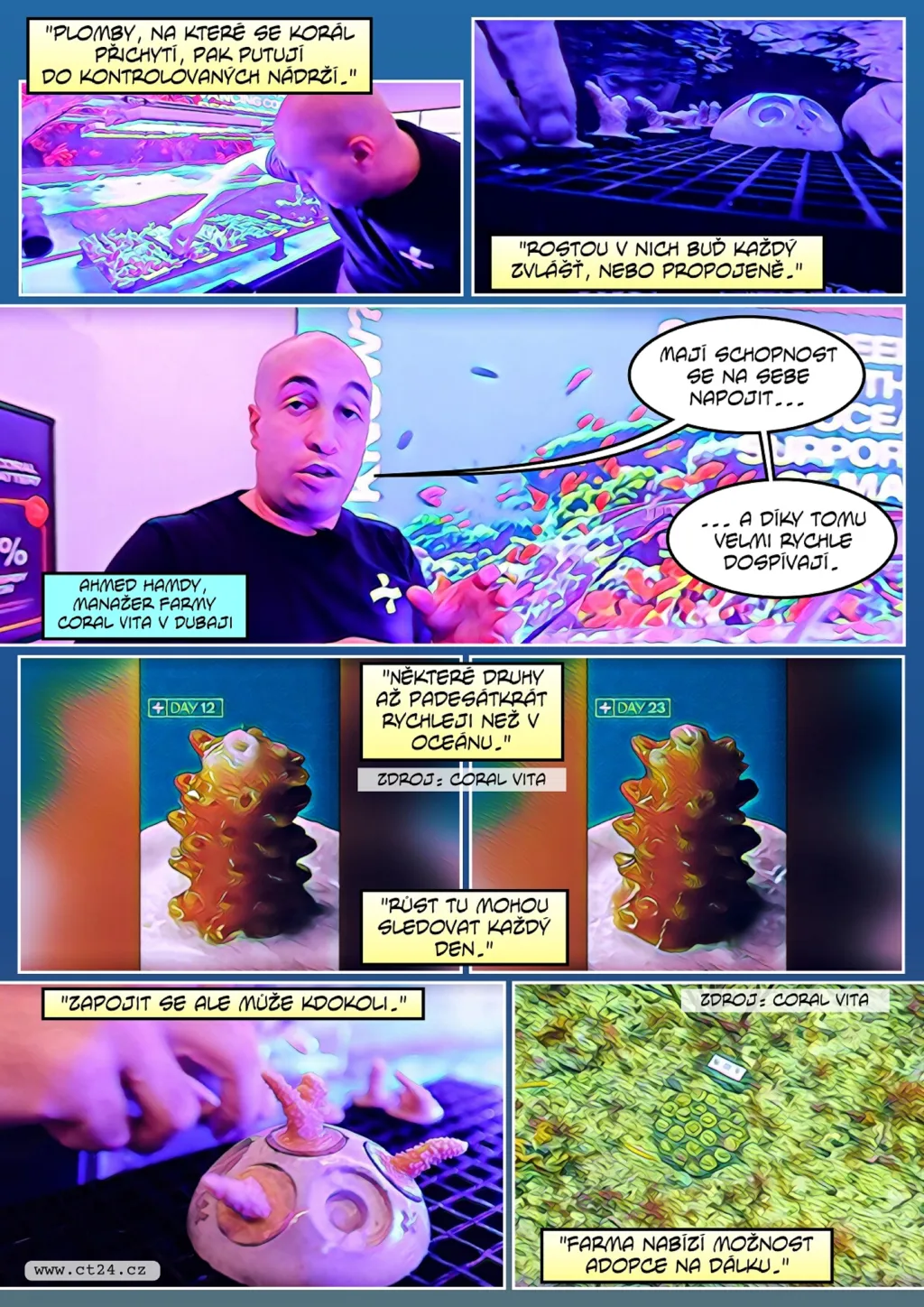 V laboratořích pěstují korály, aby zachránili útesy