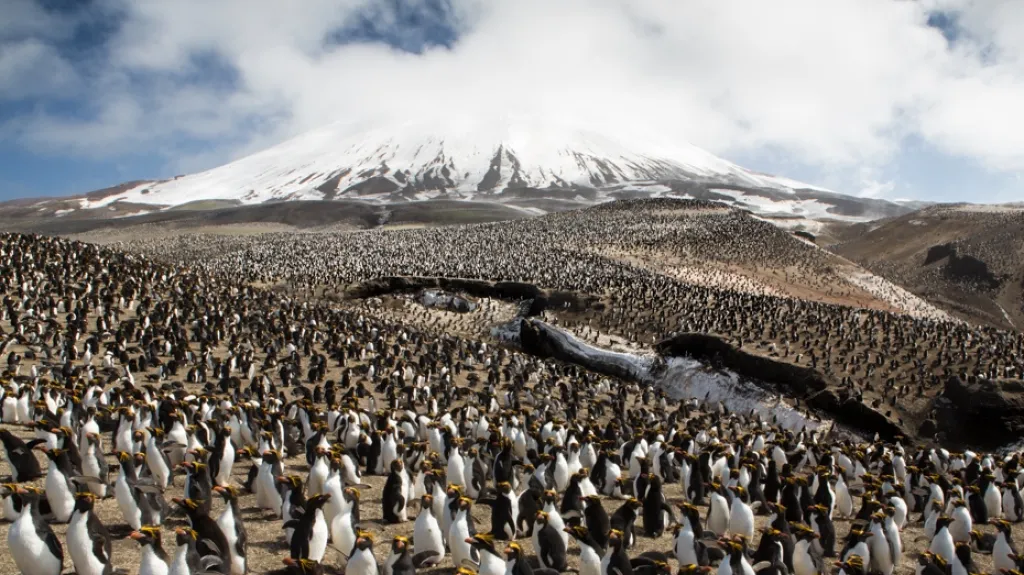 Fotografie Václava Šilhy