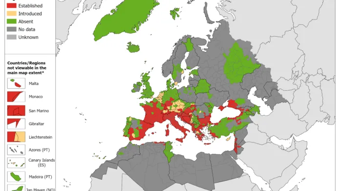 Rozšíření komára tygrovaného v květnu 2024: červeně je ustálený výskyt, žlutě nově zavlečený výskyt, zeleně nepřítomnost