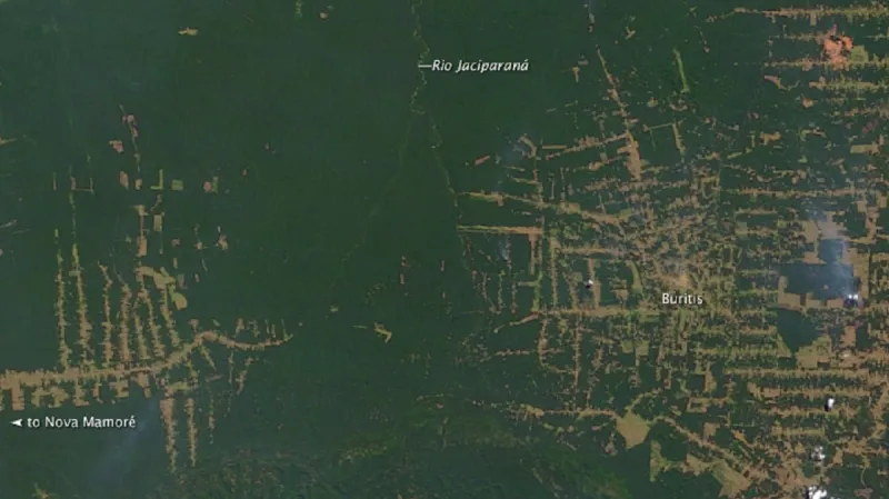 Deforestace v brazilském státě Rondonie