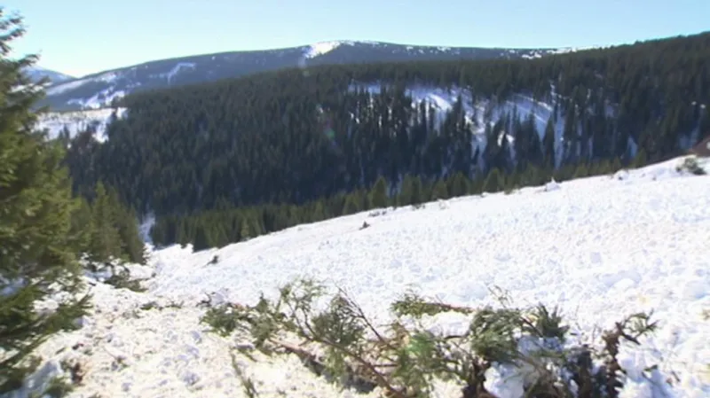 Lavinový svah v Modrém dole (Krkonoše)