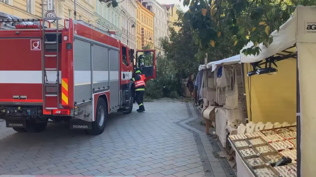 Hasiči na hlavní třídě v Karlových Varech zasahují kvůli spadlému stromu