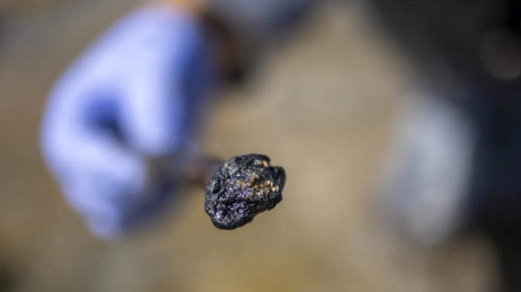 Kousek dehtu z ropné skvrny nalezený na pláži v izraelské Haifě