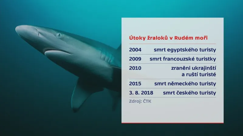 Útoky žraloků v Rudém moři