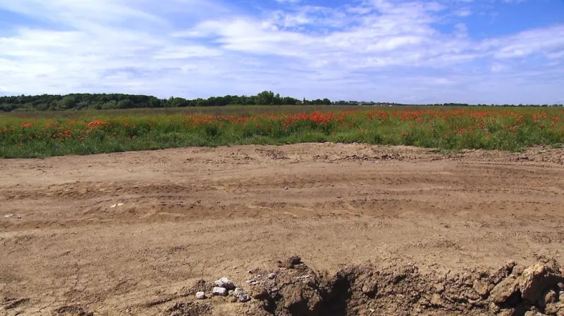 Na této louce brzy vyroste nová základní škola pro děti z Jenštejna, Přezletic a Podolanky