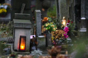 V Plzni chystají ukládání popela zemřelých ke kořenům stromů. Začne se na podzim