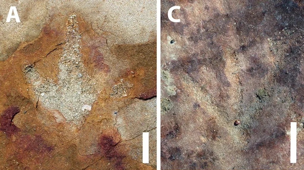 Otisk tříprstého dinosaura (vlevo) a petroglyf s podobným vzorem (vpravo)