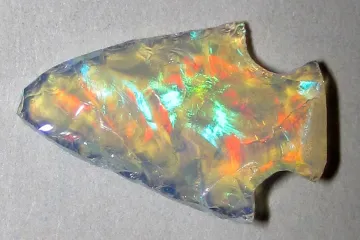 První lidé lovili pomocí jedu už před 60 tisíci lety