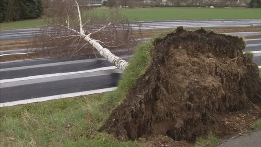 Vítr na západě Německa vyvracel stromy