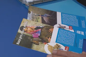 V předvánočním období jsou lidé k charitám štědřejší