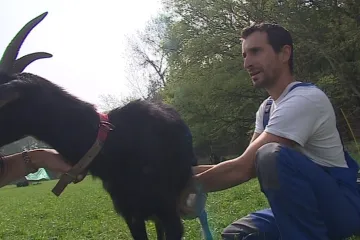 Zahraniční studenti i čeští „ajťáci“ jezdí zadarmo pracovat na farmy