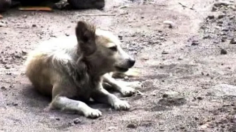 Lidé utíkají před sopkou Merapi