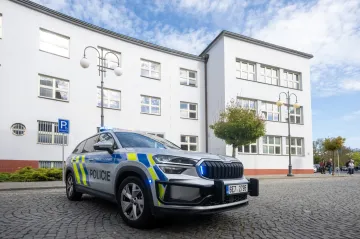 Soud poslal do vazby Američanku obviněnou v případu žhářského útoku v Pardubicích