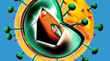 Virus HIV