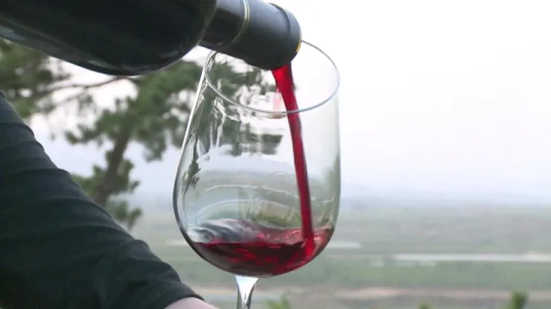 Česká vinice v Číně