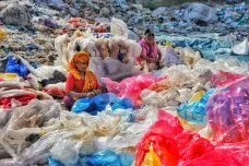 Odpady mohou lidstvu koupit čas v boji s klimatickou změnou. Jak, popsal brněnský výzkum