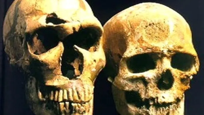 Lebky neandertálce a moderního člověka