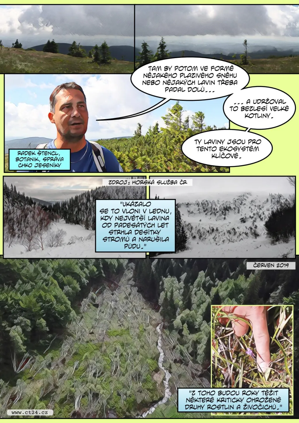 Návrat původních druhů do Jeseníků