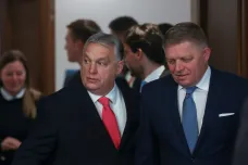 Naše zájmy se ubírají stejným směrem, notovali si v Budapešti Fico s Orbánem
